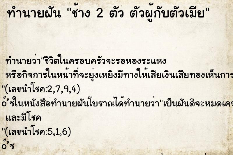 ทำนายฝัน ช้าง 2 ตัว ตัวผู้กับตัวเมีย ทำนายฝัน ช้าง 2 ตัว ตัวผู้กับตัวเมีย